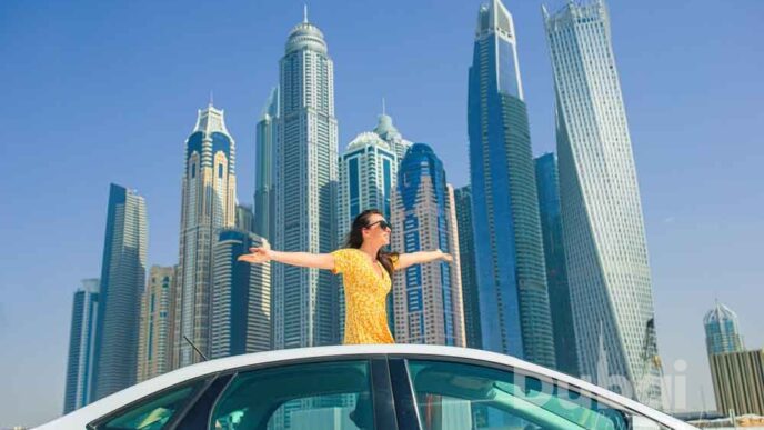 Dubai Property Market Trends and Investment Opportunities