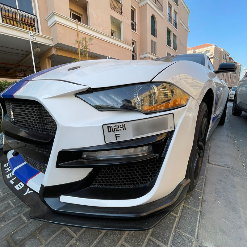dubai number plate check