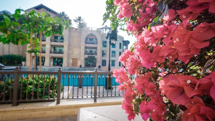 Cheap Areas to Live in Dubai for Expats